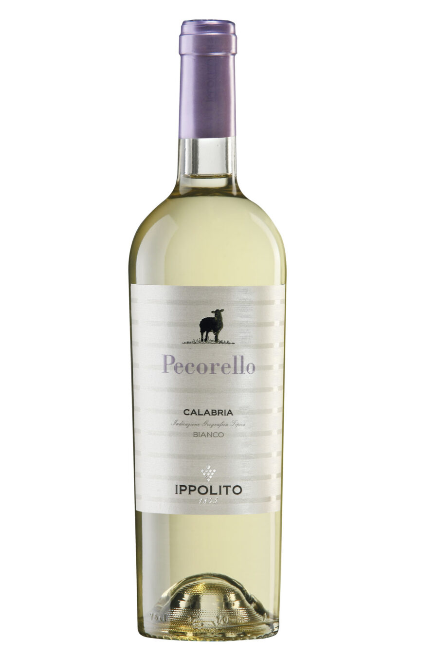 Ippolito Pecorello Calabria Bianco IGT 2025